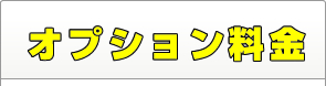 オプション料金